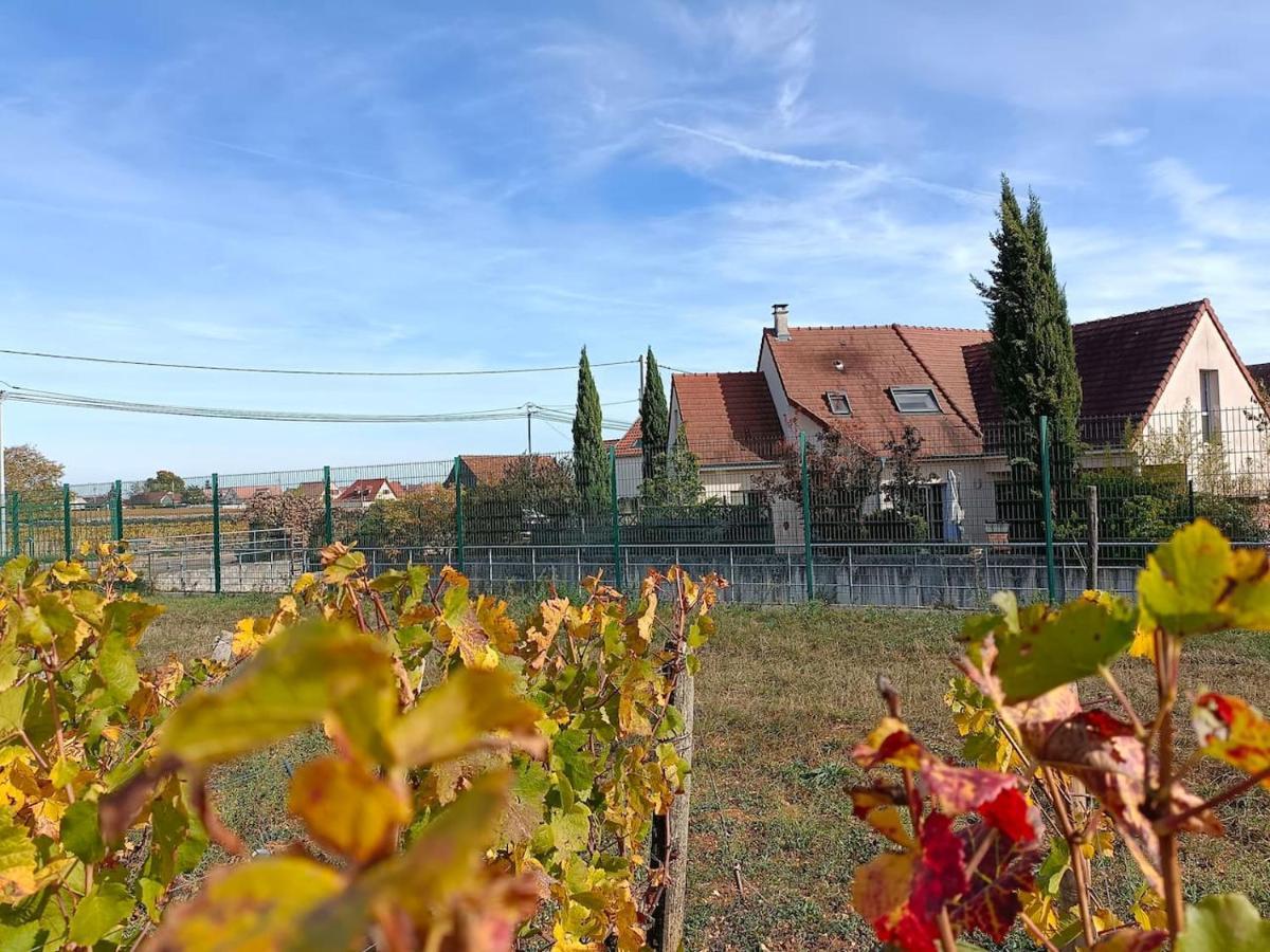 Villa Des Climats Bourgogne Marsannay-la-Côte المظهر الخارجي الصورة